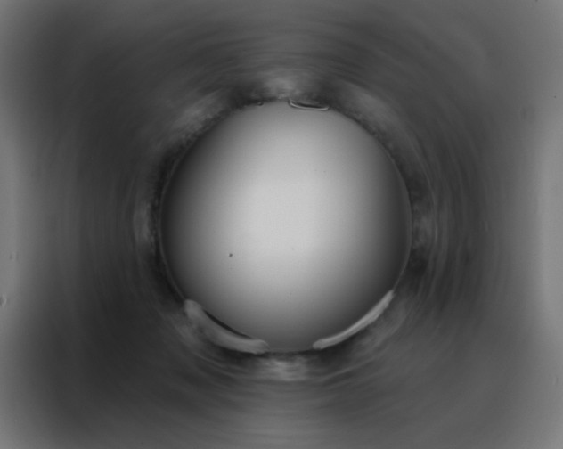 X0000088220317200705221809