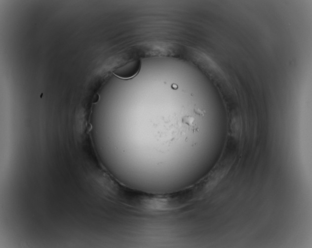 X0000088220318200705221809