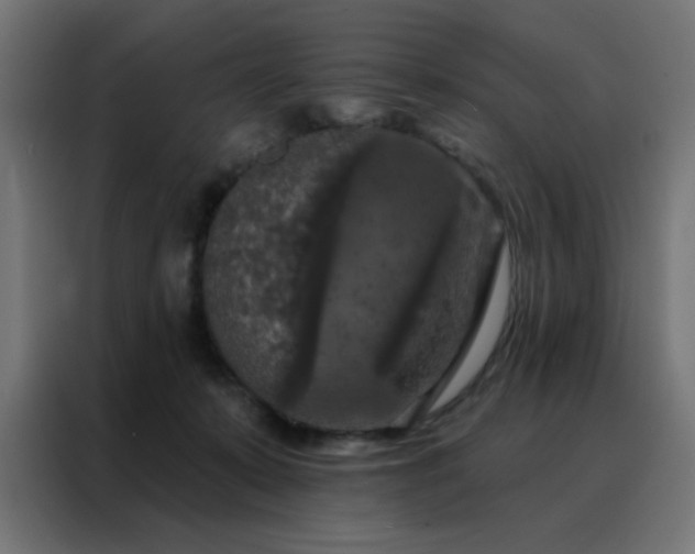 X0000088220319200705221809