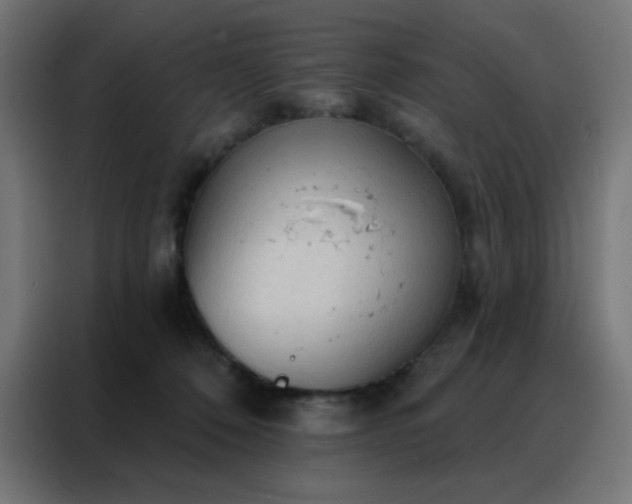 X0000088220320200705221809