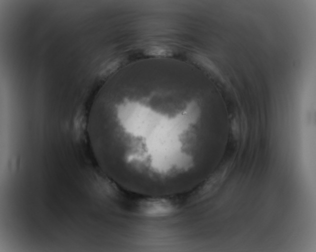 X0000088220322200705221809