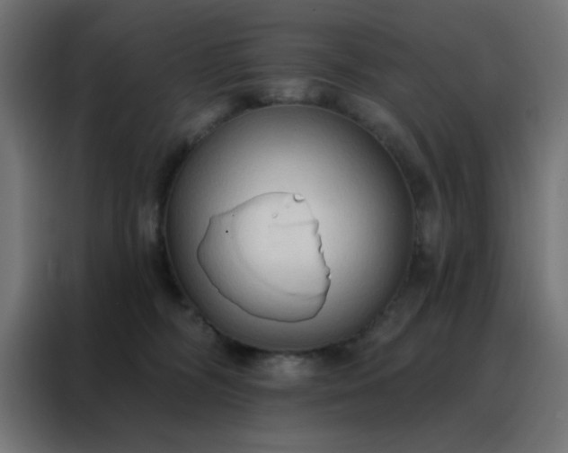 X0000088220326200705221809