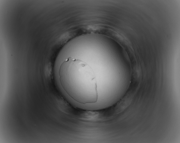 X0000088220328200705221809