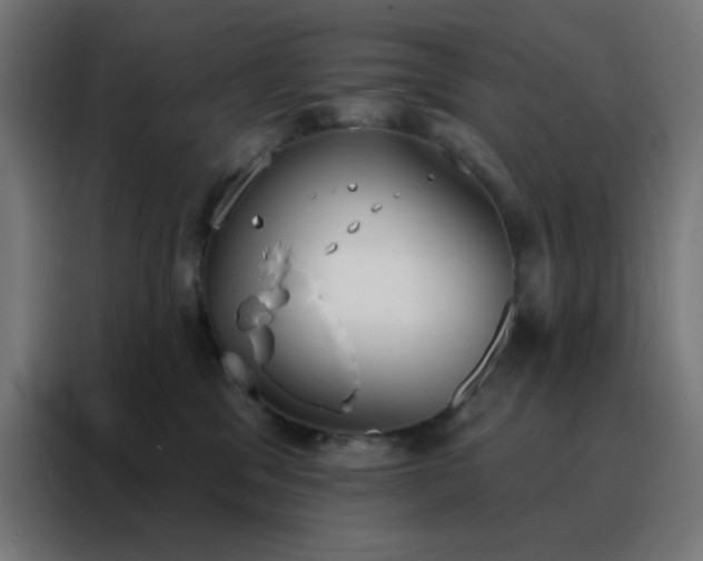 X0000088220329200705221809