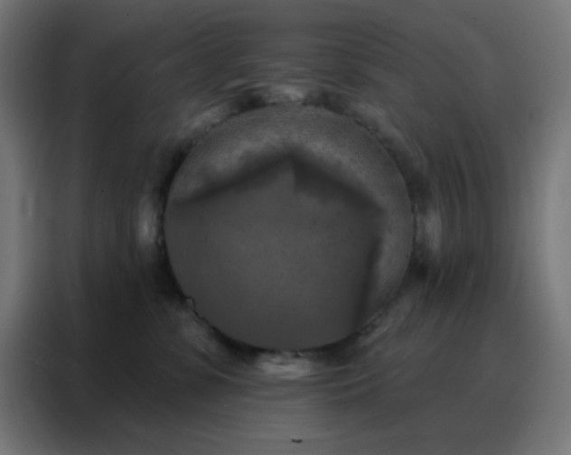 X0000088220331200705221809