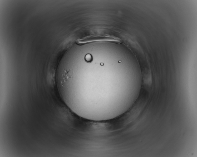 X0000088220332200705221809