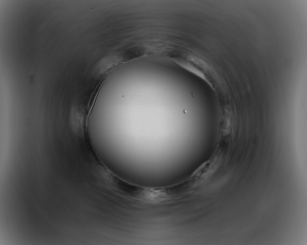 X0000088220333200705221809