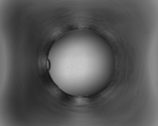 X0000088220336200705221809