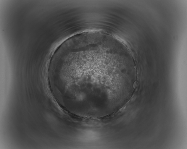 X0000088220337200705221808