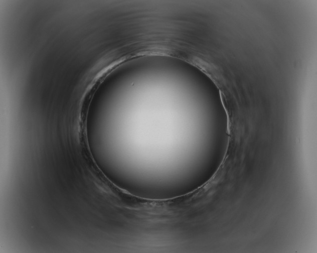 X0000088220338200705221808