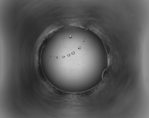 X0000088220339200705221808