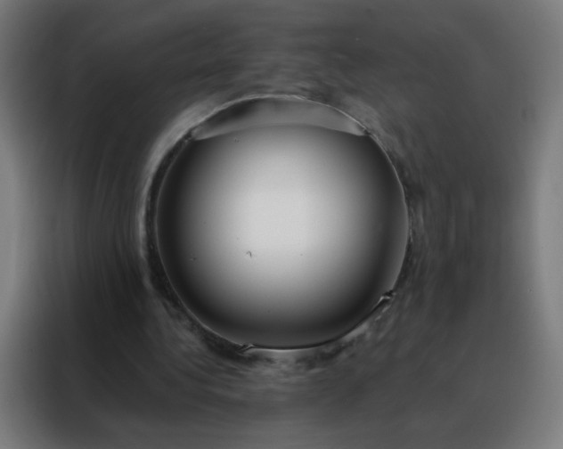 X0000088220340200705221808