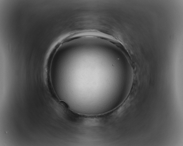 X0000088220342200705221808