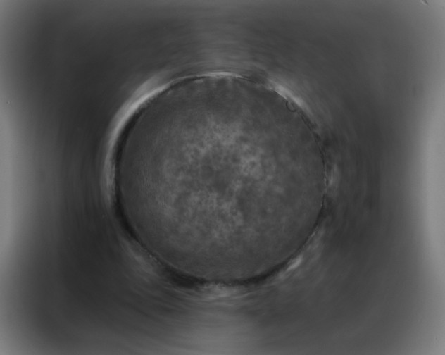 X0000088220343200705221808