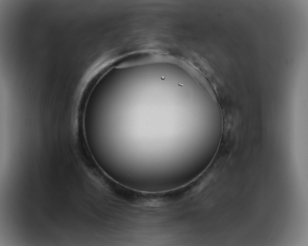 X0000088220344200705221808