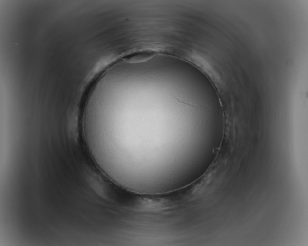 X0000088220346200705221808