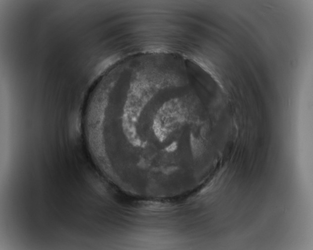 X0000088220347200705221808