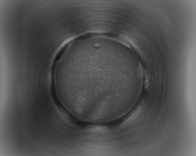 X0000088220348200705221808