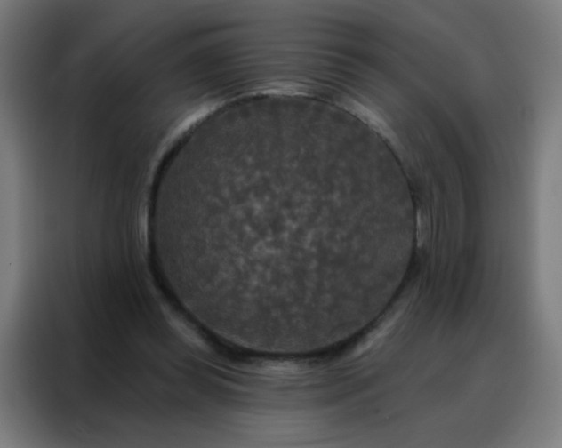 X0000088220349200705221808