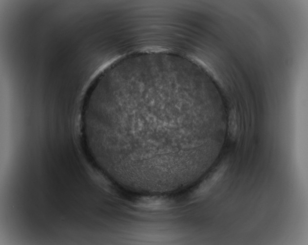 X0000088220351200705221808