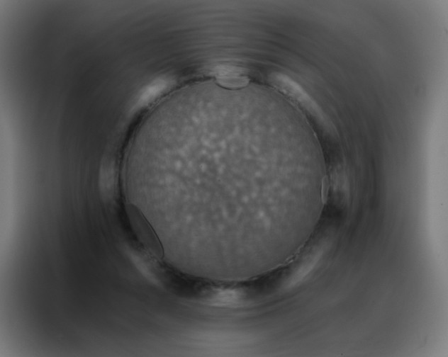 X0000088220352200705221808