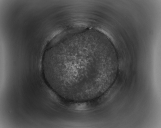 X0000088220353200705221808