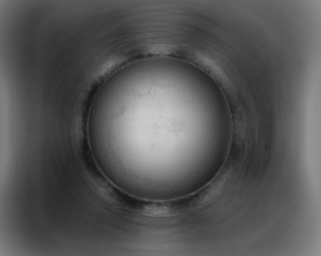 X0000088220354200705221808