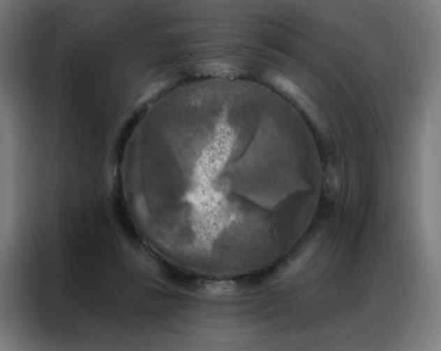 X0000088220355200705221808