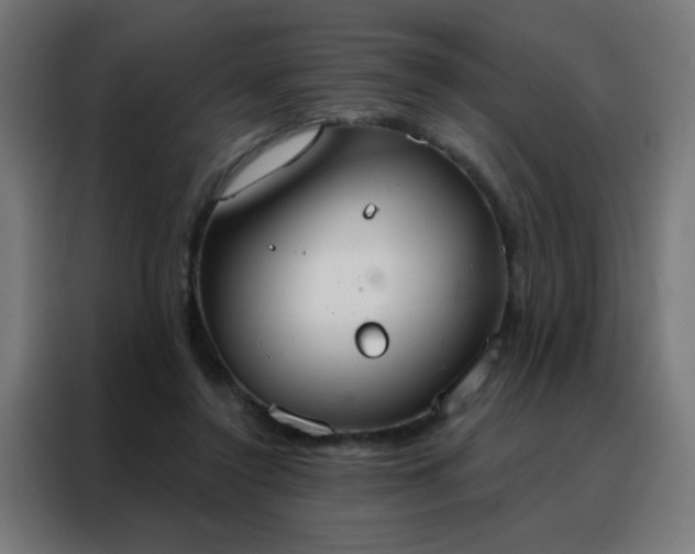 X0000088220356200705221808