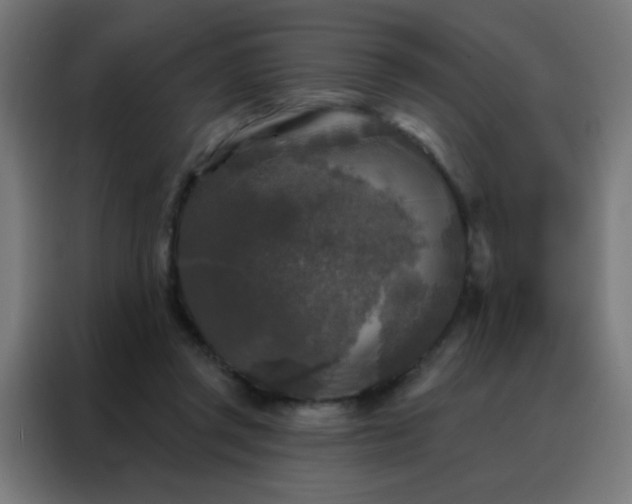 X0000088220357200705221808