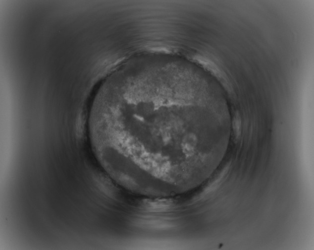 X0000088220359200705221808