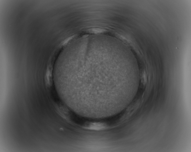 X0000088220360200705221808