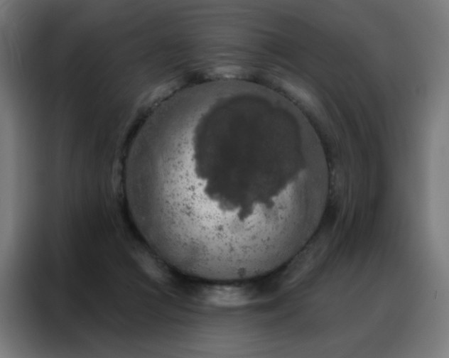 X0000088220361200705221808