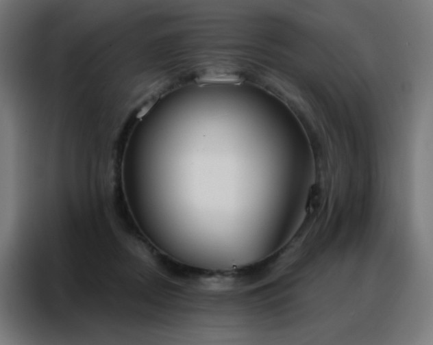 X0000088220362200705221808