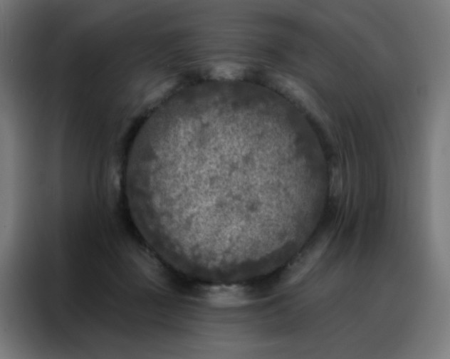 X0000088220363200705221808