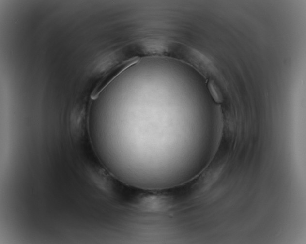 X0000088220364200705221808