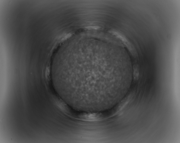 X0000088220365200705221808