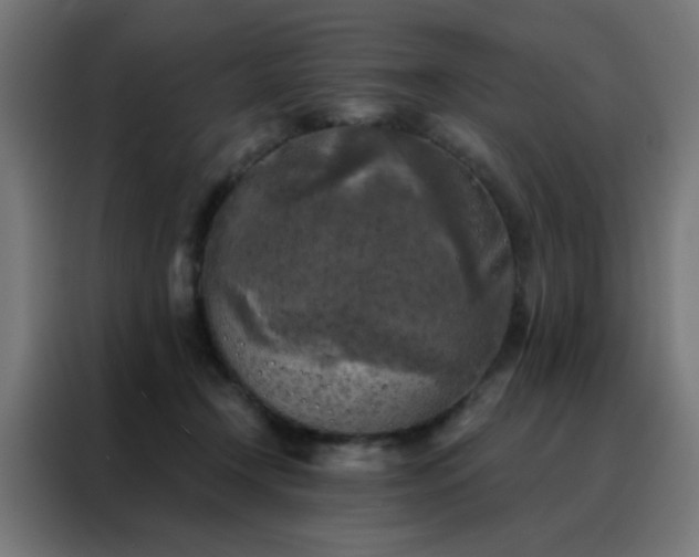 X0000088220366200705221808