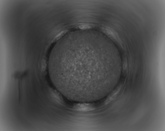 X0000088220367200705221808