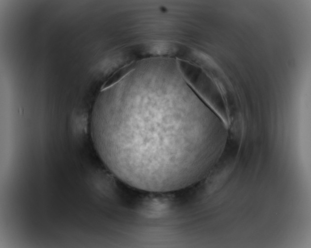 X0000088220368200705221808