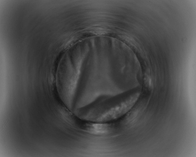 X0000088220371200705221808