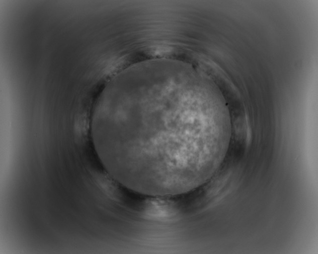 X0000088220372200705221808