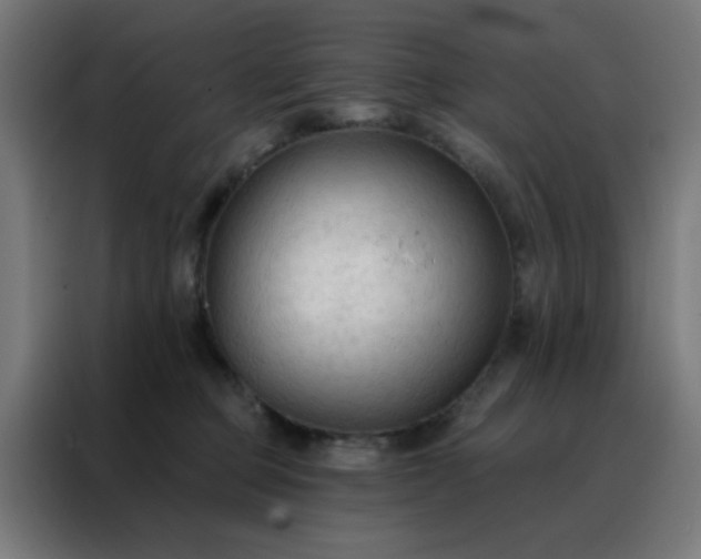 X0000088220373200705221808