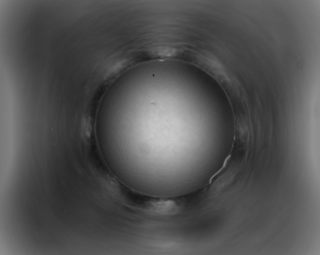 X0000088220374200705221808