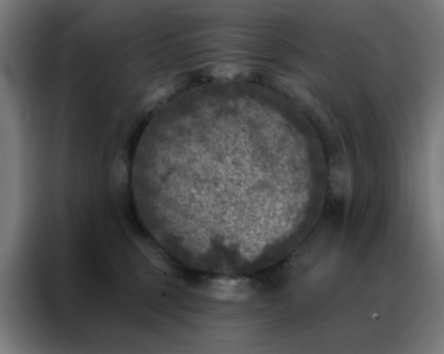 X0000088220375200705221808