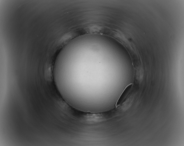 X0000088220378200705221808