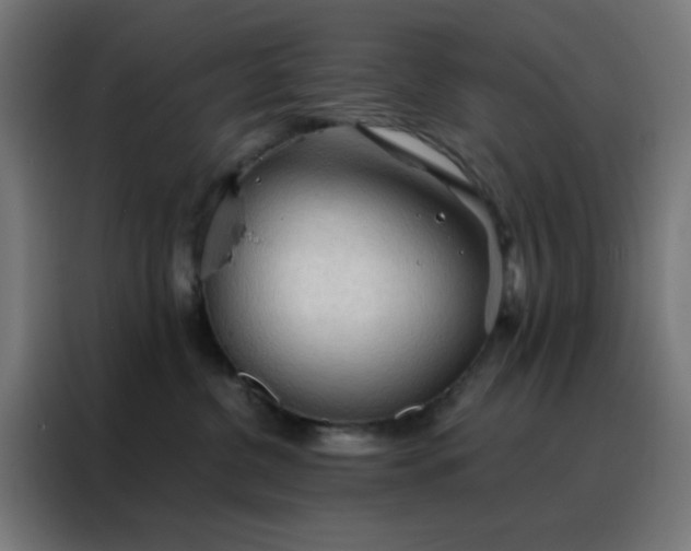 X0000088220380200705221808