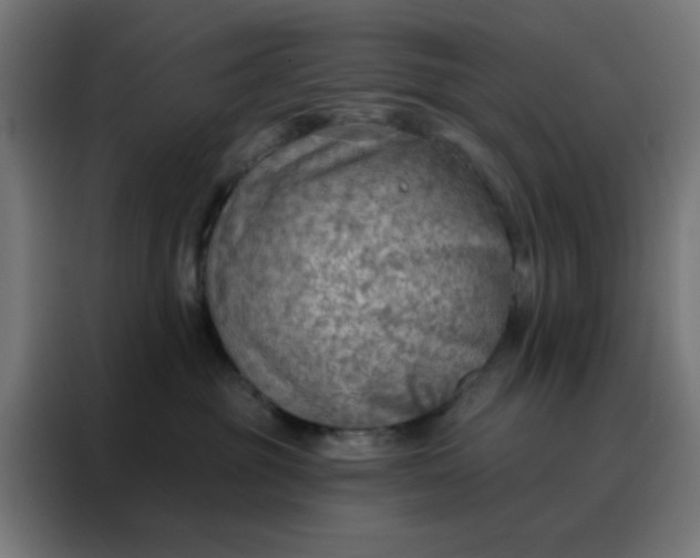 X0000088220381200705221809