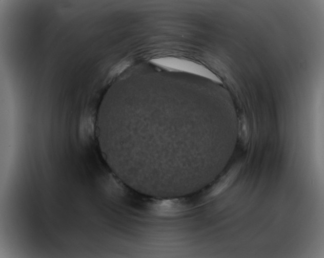 X0000088220382200705221809