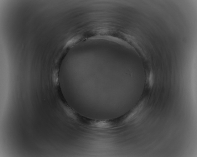 X0000088220383200705221809